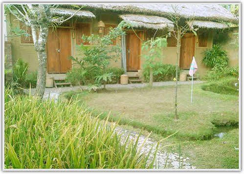 Baleku Homestay Trawangan Gili Trawangan Eksteriør billede